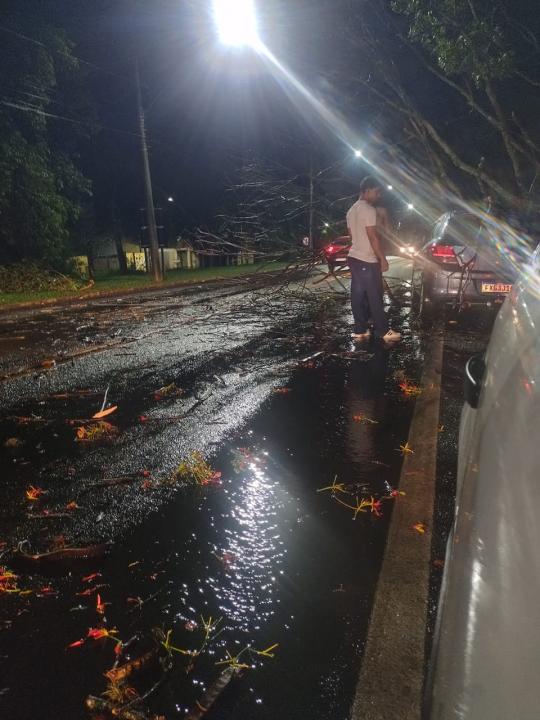 Foto 2 de 67 — TEMPORAL EM FOTOS: veja imagens de destruição em Araraquara